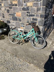 Free bike