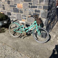 Free bike