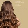 'MACH 2' 1000w 38000rpm Blow & Style Multi - Styler Image 3