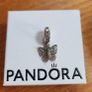 Pandora charm Image 5