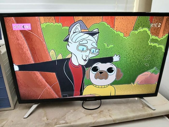 Sharp 32inch hdmi Saorview tv with dvd built in.