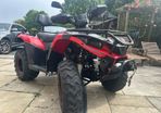 Quadzilla Linhai 309