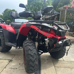 Quadzilla Linhai 309