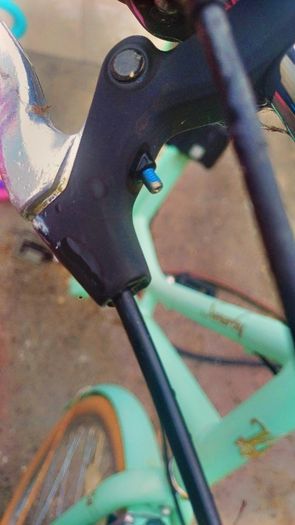 lady bikes