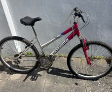 ladies bike