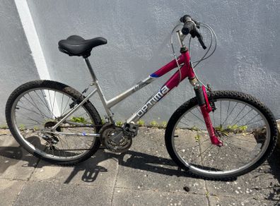 ladies bike