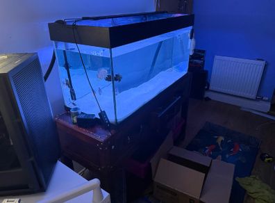 Fish tank (need gome ASAP)