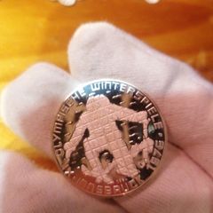 1976 Austria Silver Proof 100 Schilling Coin