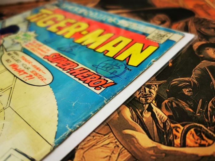 Tiger-man ! FIRST ISSUE ! Origin of Tiger-man ! Bronze Age Comic from 1975 ! by Atlas Seaboard !