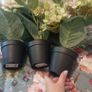 Household decor bundle Image 8