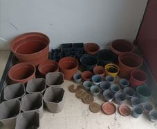 Garden Pots