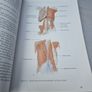 Dance Anatomy Image 5