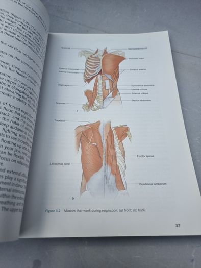 Dance Anatomy