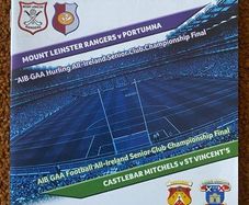 2014 Portumna v Mount Leinster Rangers & St Vincents v Castlebar Mitchels - All-Ireland Senior Hurling & Football Club Finals