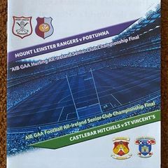 2014 Portumna v Mount Leinster Rangers & St Vincents v Castlebar Mitchels - All-Ireland Senior Hurling & Football Club Finals