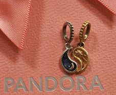 Pandora two tone Splittable charm (authentic) 70 euro in store