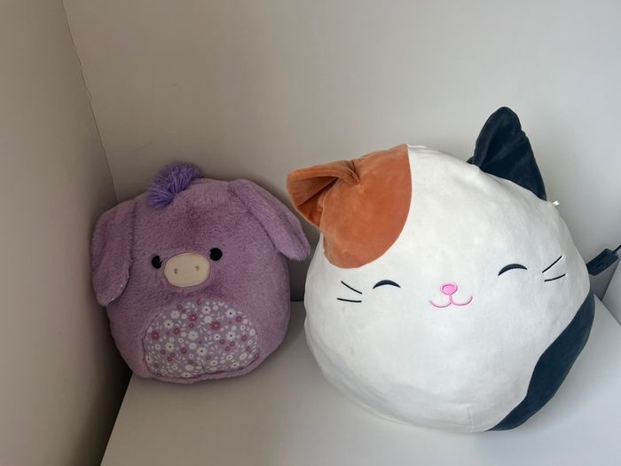 Election of soft toys