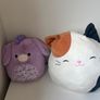 Election of soft toys Image 5
