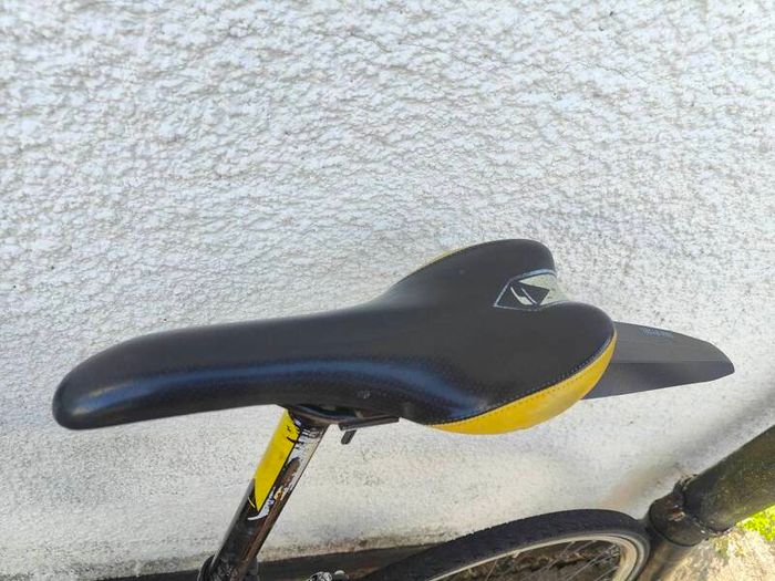 Carrera TDF