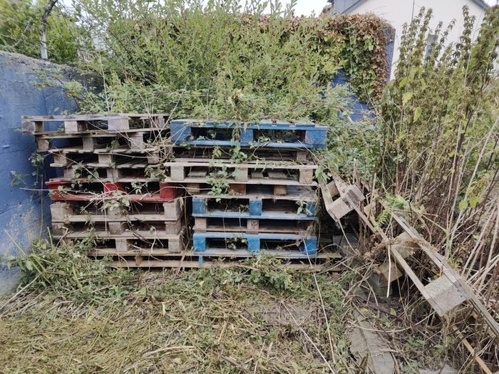 Pallets Free