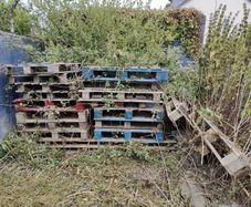 Pallets Free