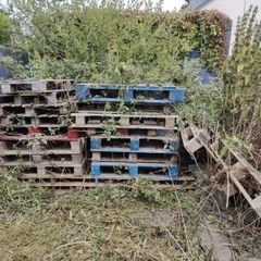 Pallets Free