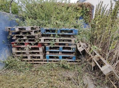 Pallets Free