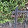 Wrought iron gates Image 2