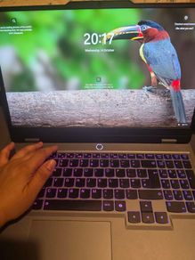 Gaming LOQ