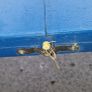 foldable picnic table Image 6