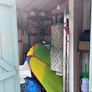 Garden Shed Image 4
