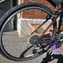 Fuji Road & Off-road Bike Image 3
