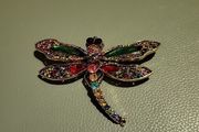 Butterfly brooch