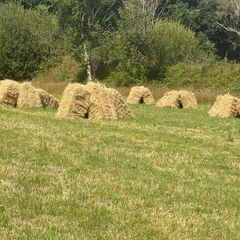 Small Square Hay Bales