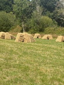 Small Square Hay Bales