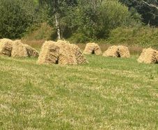 Small Square Hay Bales