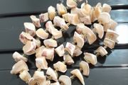 NECKLACE - Vintage - Shell