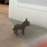 schleich animals Image 2