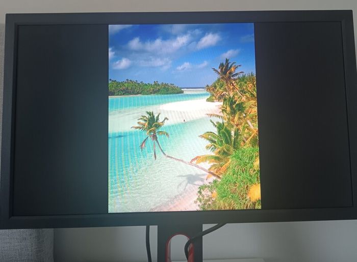 ZOWIE BenQ HDMI gaming monitor