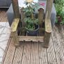 hanging basket holder Image 6