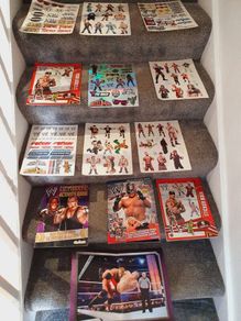 wwe magazine and sticker books