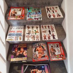wwe magazine and sticker books