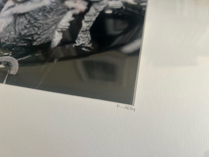 The Beatles Print Limited edition