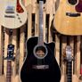 1993 Takamine FP3410 (CD) Electro Acoustic Image 2