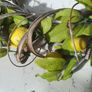 Lemon Door Wreath Image 10