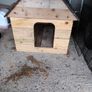 dog kennel Image 3