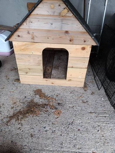 dog kennel