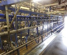 Milking machine