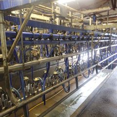 Milking machine