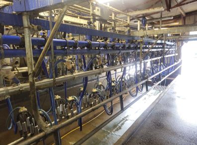 Milking machine